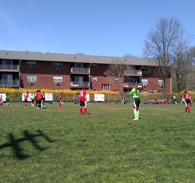 Soccer Field image 2