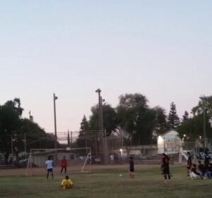 Soccer Field image 3