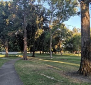 Soccer Field image 2