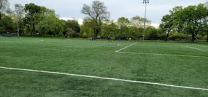 Soccer Field image 1