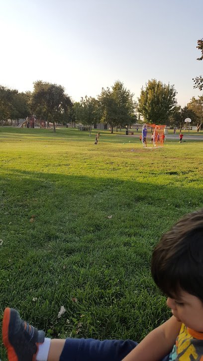Soccer Field image 1