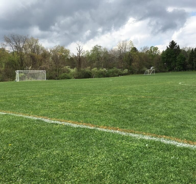 Soccer Field image 2