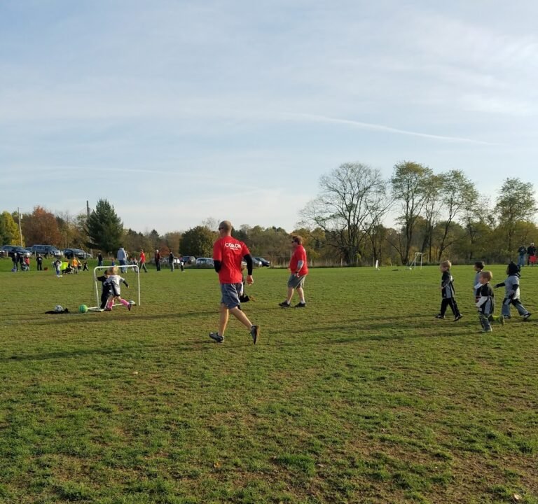 Soccer Field image 3