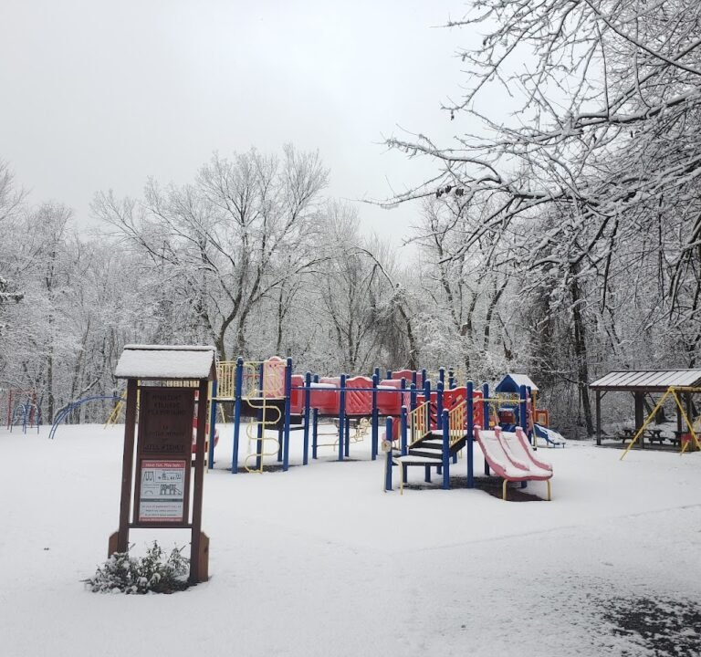 Soccer Field image 2