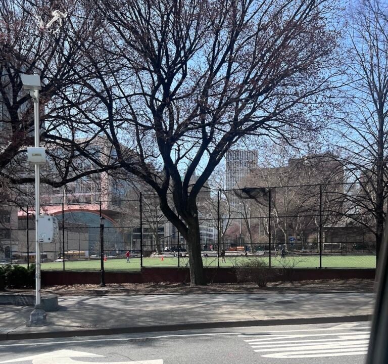 Soccer Field image 3