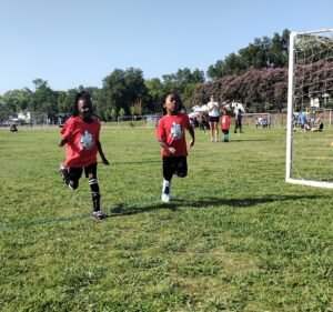 Soccer Field image 2