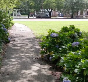 Soccer Field image 3