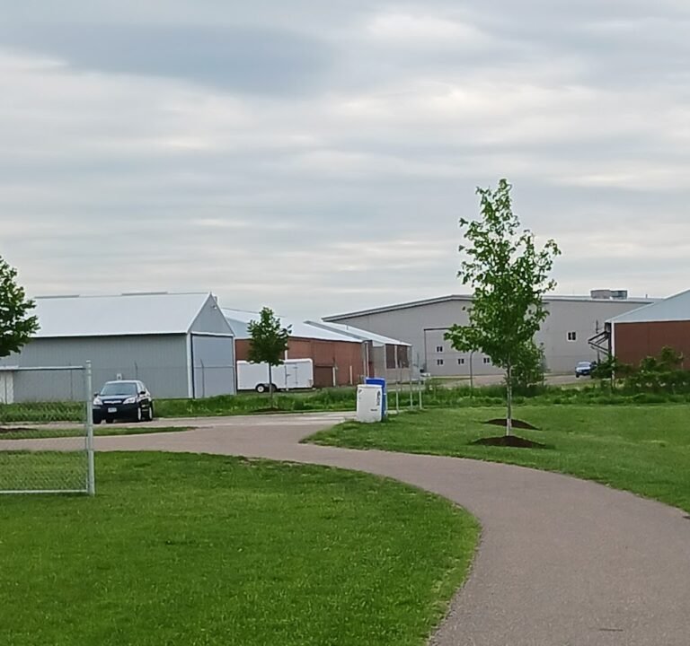 Soccer Field image 2