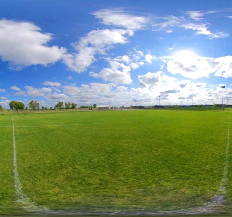 Soccer Field image 4