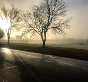 Soccer Field image 3