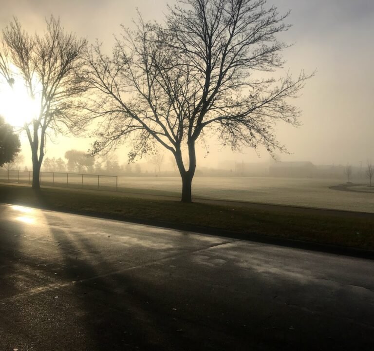 Soccer Field image 3