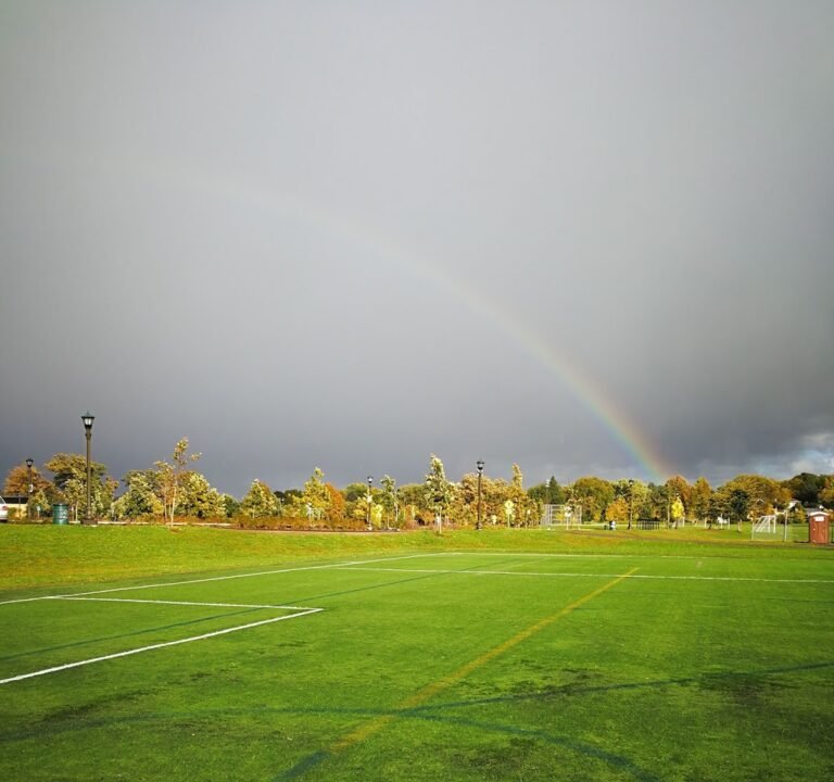Soccer Field image 2