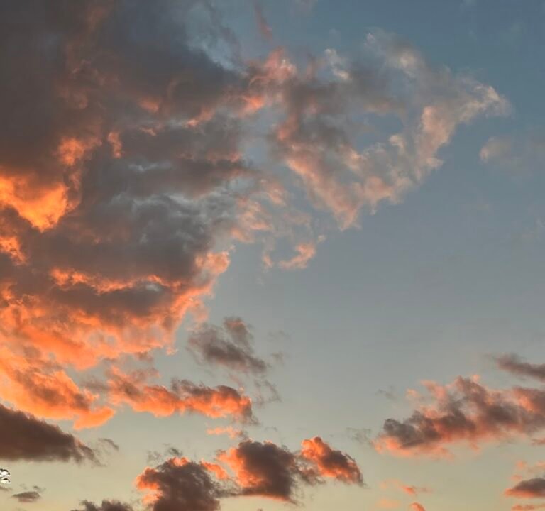 Soccer Field image 3