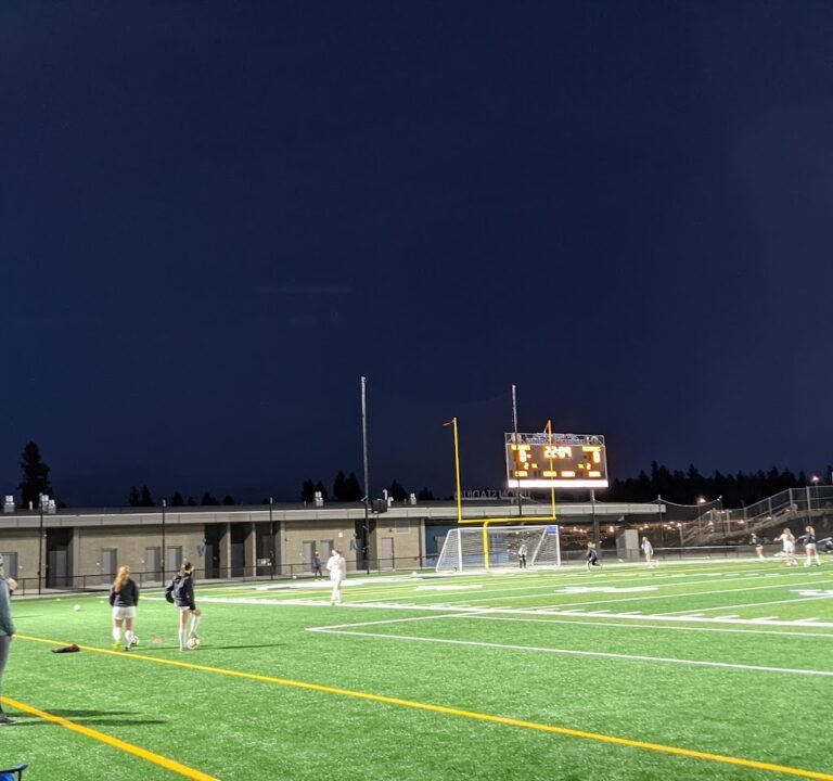 Soccer Field image 3
