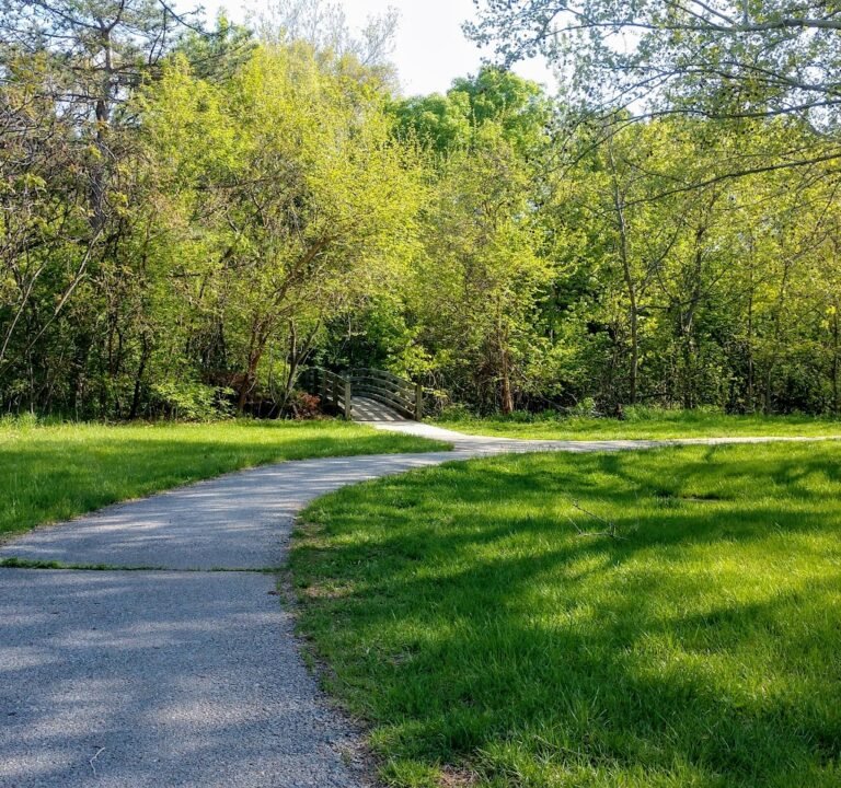 Soccer Field image 3