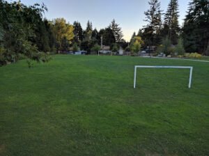 Soccer Field image 1