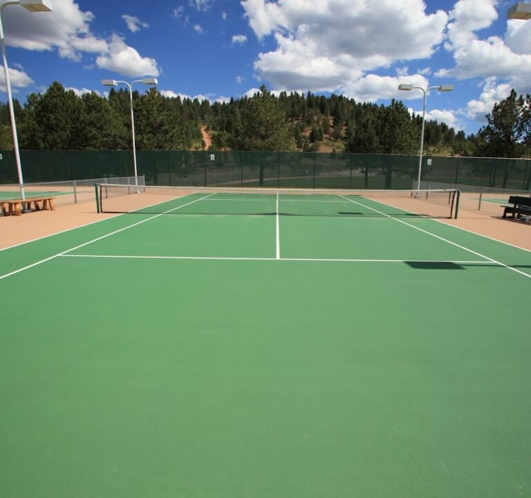 Soccer Field image 2