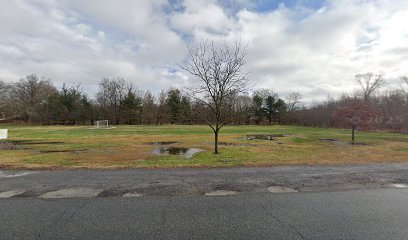 Soccer Field image 1