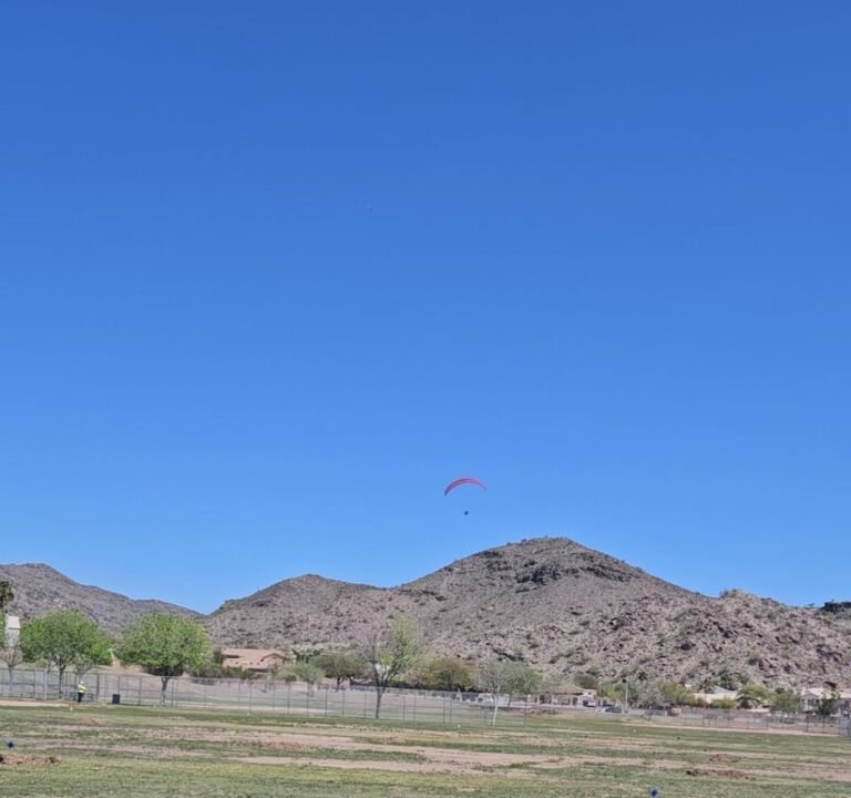 Soccer Field image 4