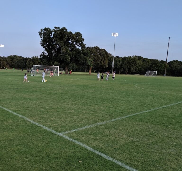 Soccer Field image 3