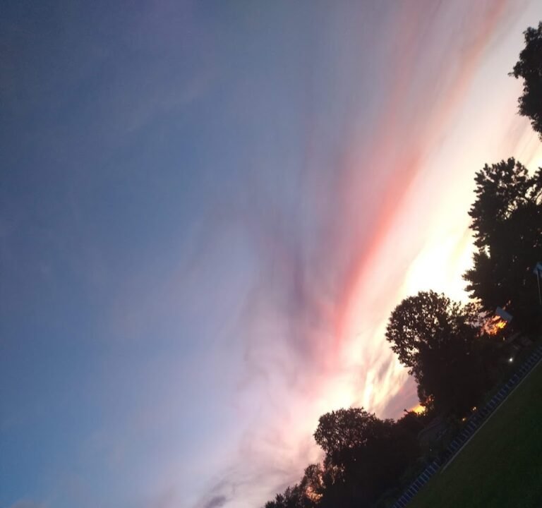Soccer Field image 3