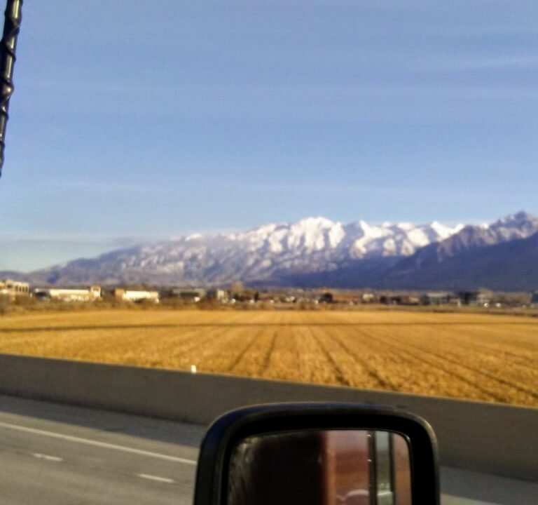 Soccer Field image 3