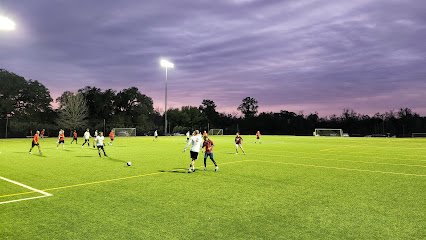 Soccer Field image 1