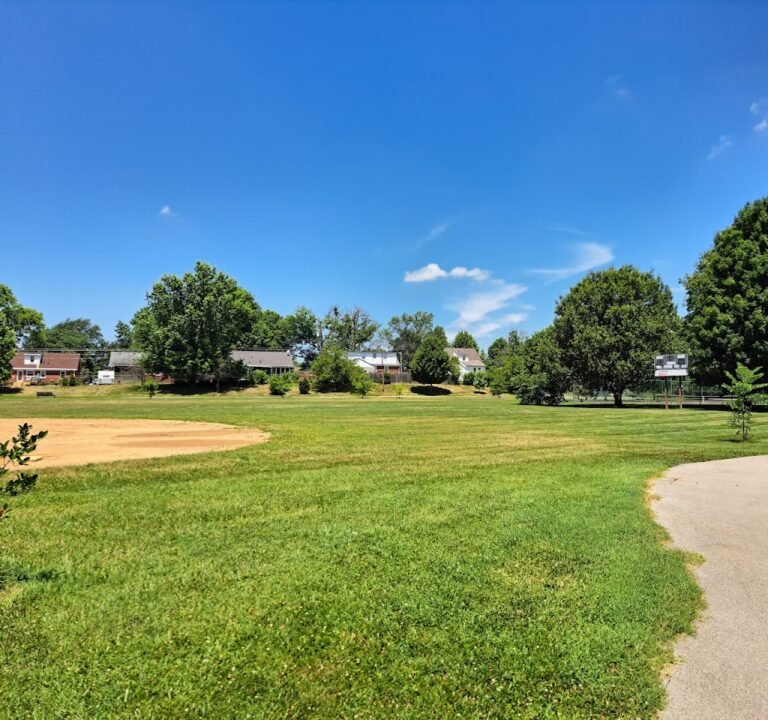 Soccer Field image 2