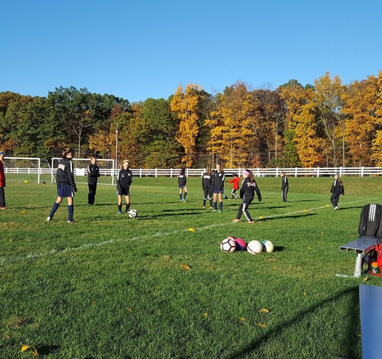 Soccer Field image 2