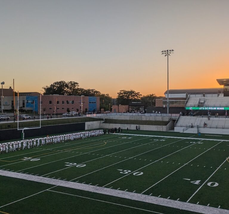 Soccer Field image 2
