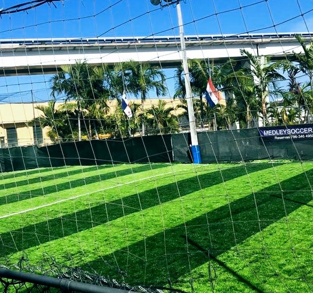 Soccer Field image 1