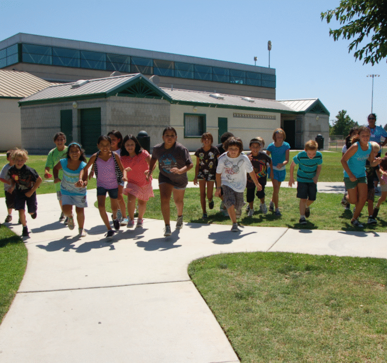 Soccer Field image 2