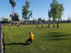 Soccer Field image 1