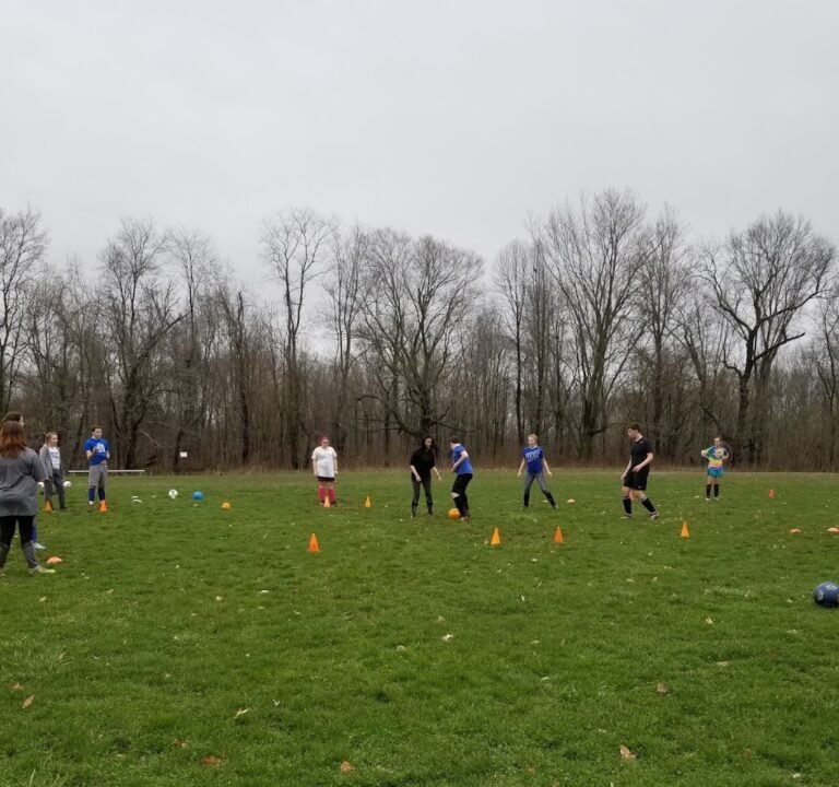 Soccer Field image 2