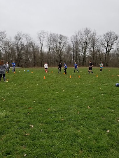 Soccer Field image 1