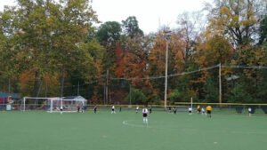 Soccer Field image 1