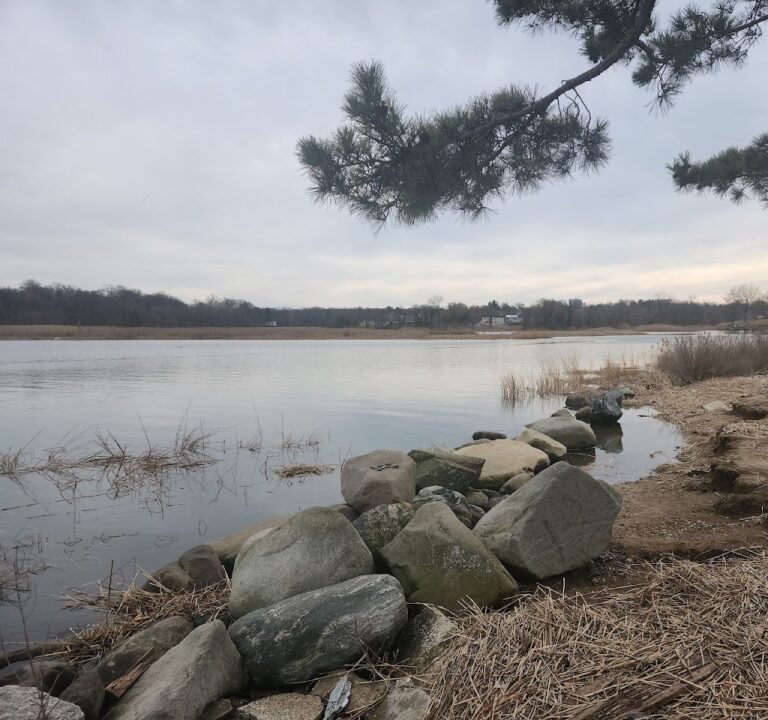 Soccer Field image 2