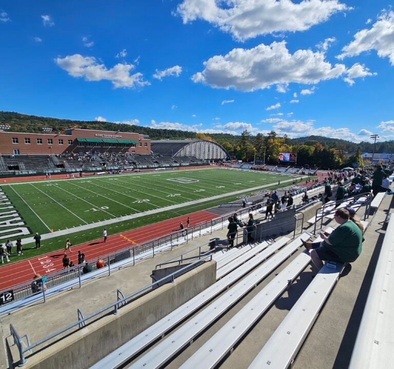 Soccer Field image 2