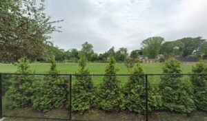 Soccer Field image 1