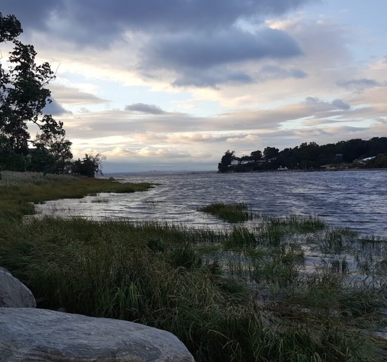 Soccer Field image 3
