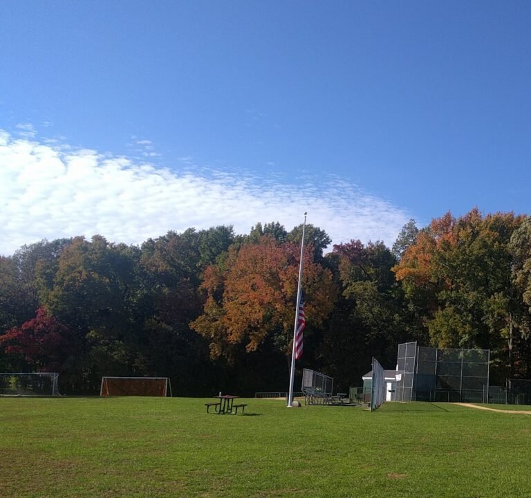 Soccer Field image 2