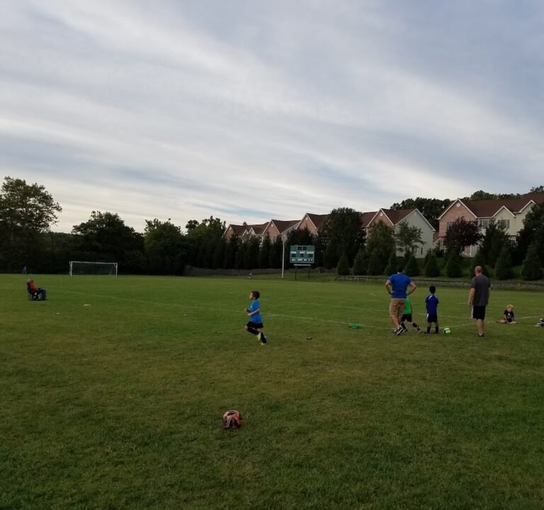 Soccer Field image 2