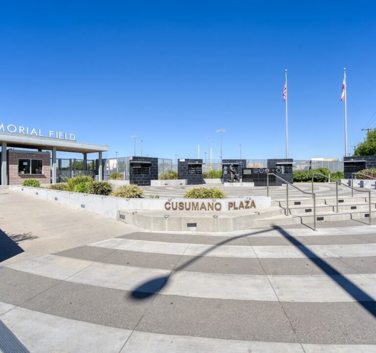 Soccer Field image 2