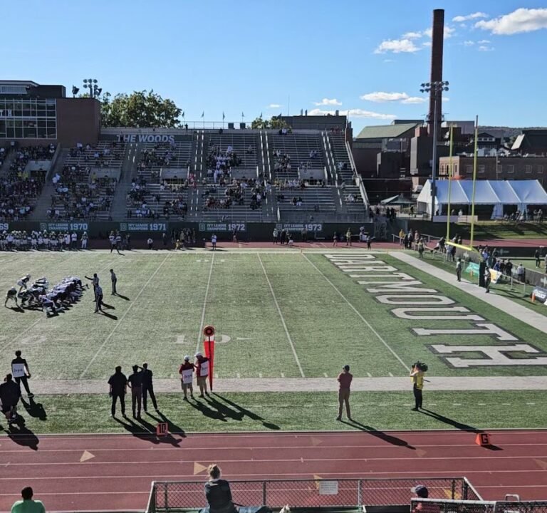 Soccer Field image 4