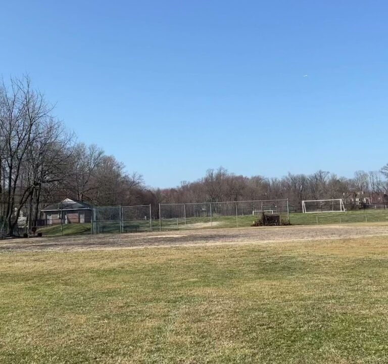 Soccer Field image 2