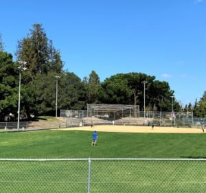 Soccer Field image 2