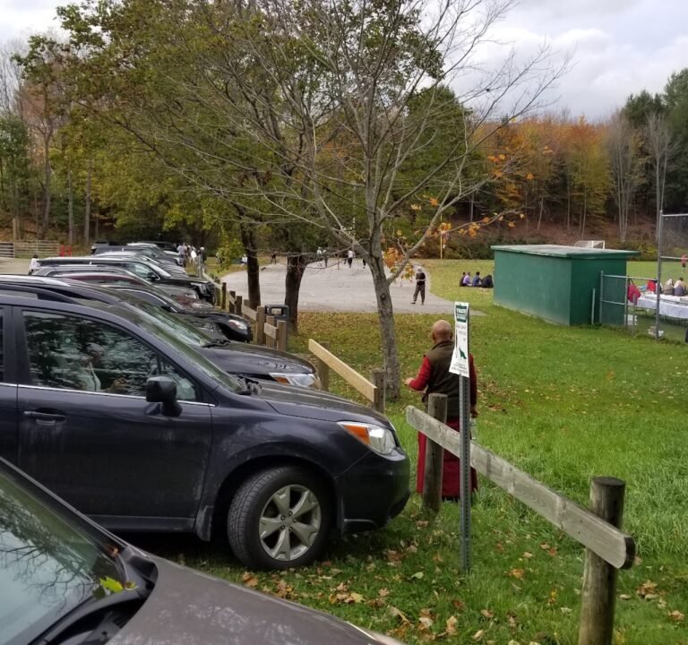 Soccer Field image 2