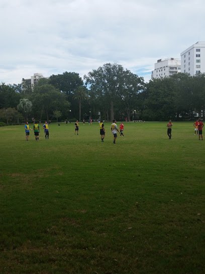 Soccer Field image 1