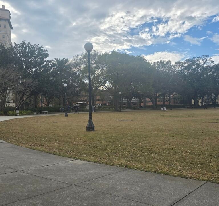 Soccer Field image 3