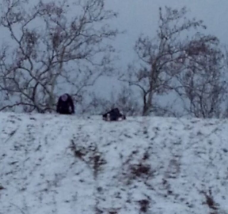 Soccer Field image 4